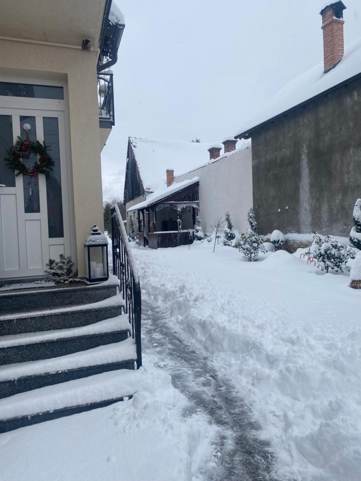 Casa Leny Hotell Tohanu Nou Eksteriør bilde