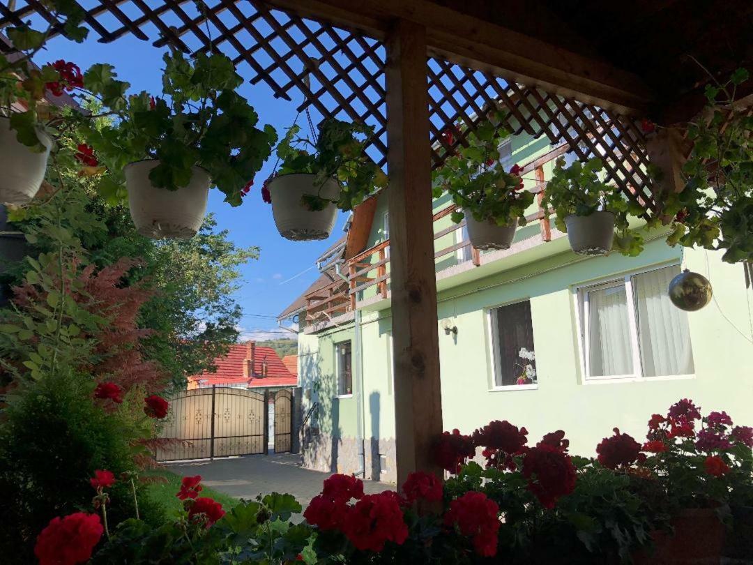 Casa Leny Hotell Tohanu Nou Eksteriør bilde
